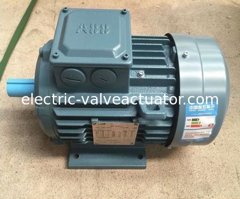 Dobra cena. 380V IP55 NEMA Enclosure M2BA Series Flang Foot Mounted 3 Phase AC Electric Motors dla zastosowań ciężkich w sieci