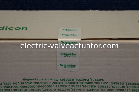 Dobra cena. 140CPU65260C Modicon Quantum PLC / CPU Single Slot 80486 Procesor z matematycznym w sieci